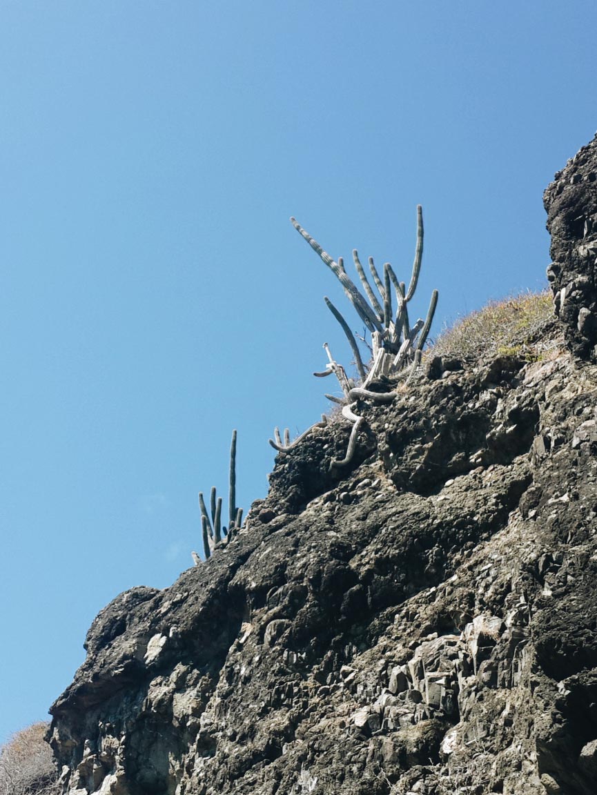 Playa Punta de Soldado