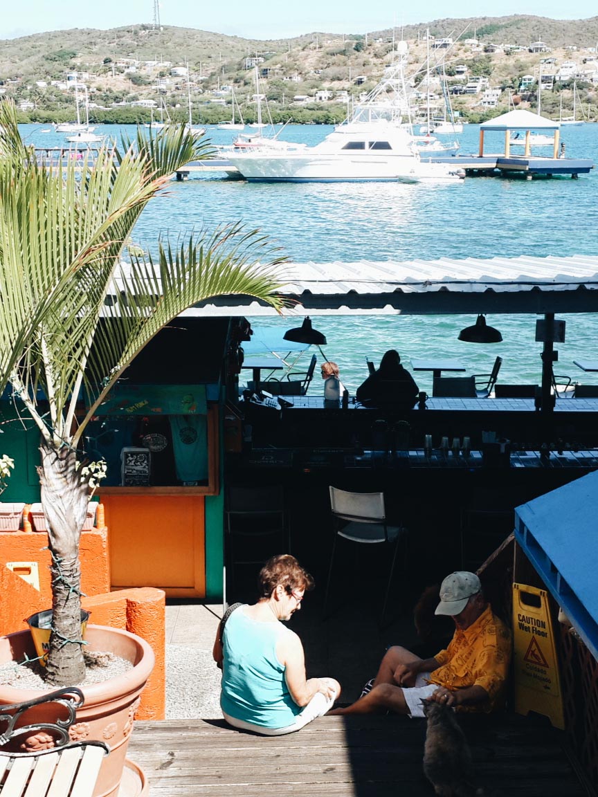 Picture of Dinghy Dock restaurant